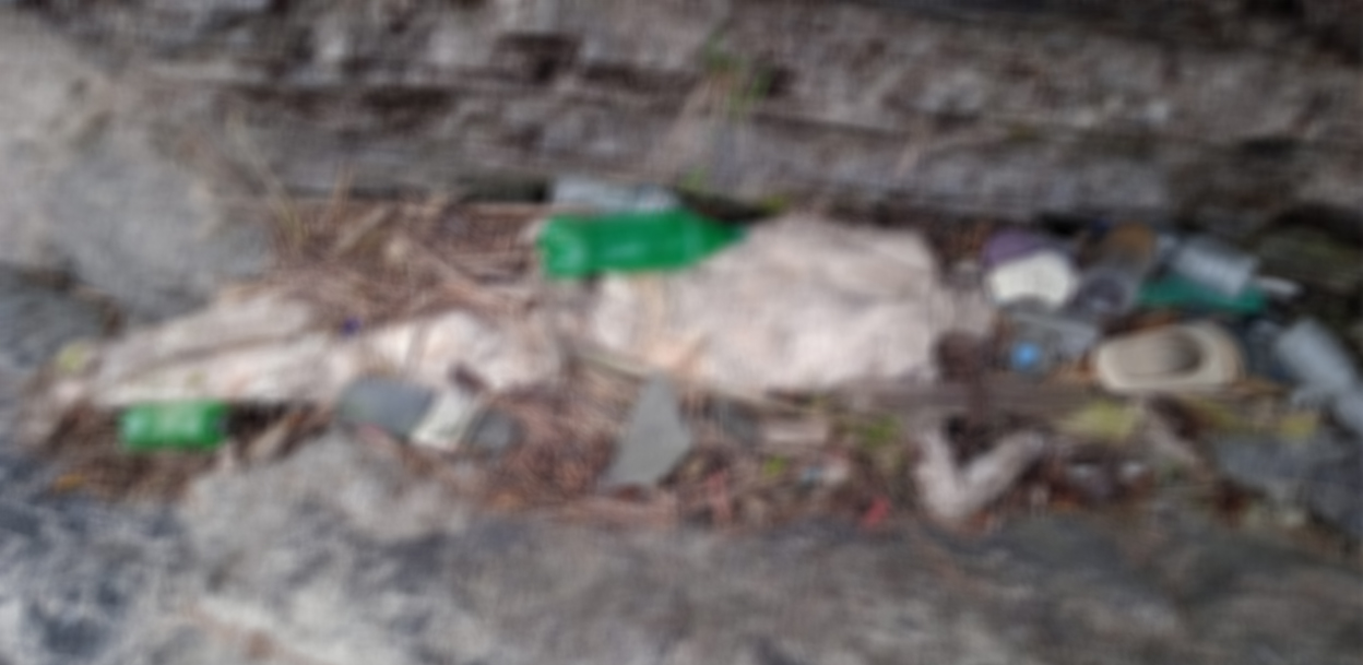 कालीगण्डकी किनारमा मानव कंकाल फेला