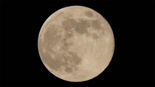 एलन मस्कले फेरे योजना, मंगल ग्रहमा होइन चन्द्रमामा बसाउन चाहन्छन् शहर