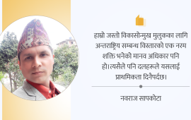 निर्वाचन घोषणापत्र र मानव अधिकार