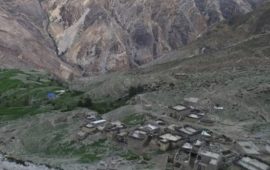 सिंगाे वडाभरकाे मतदाता संख्या ४० जना मात्रै