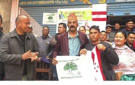 बागलुङ-२ का प्रलोपाको उम्मेदवारी निष्क्रिय, कांग्रेस उम्मेदवारलाई सघाउने घोषणा