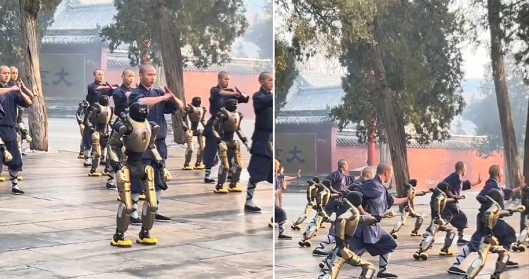 चीनमा के हुँदैछ यस्तो ? भिक्षुसँग ‘मार्सल आर्ट्स’ सिक्दै रोबोट