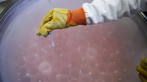 युक्रेनमा जनसंख्या घट्दै, सैनिकहरूको वंश जोगाउन नि:शुल्क ‘स्पर्म बैंकिङ’