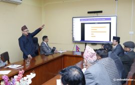 त्रिवि विश्व र्‍यांकिङमा यथावत, स्कोरमा सुधार