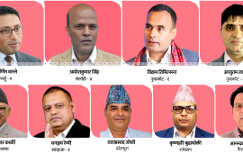 प्रतिनिधिसभा चुनाव जित्ने ९ पीएचडी होल्डर