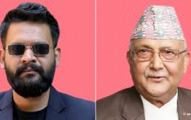 झापा-५ मा ओलीले पाएको मतको अनुपात कस्तो हो ?