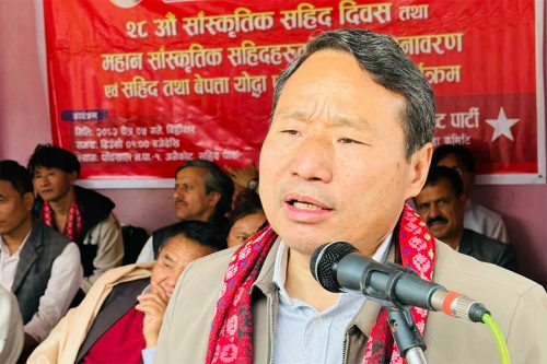 नेकपा धुलो टक्टकाएर फेरि उठ्छ : पुन