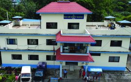 मकवानपुरमा प्रहरीमाथि आक्रमण, आत्मरक्षाका लागि गोली चलाउँदा एकजना घाइते