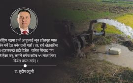 खेतमा चलेका हजारौँ डिजेल पम्पले के गर्दैछन् ?