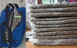 मोरङमा साढे ११ केजी गाँजासहित दुई भारतीय नागरिक पक्राउ