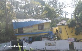 धनकुटामा हावाहुरीले लाखौँको क्षति, जिल्लाभर विद्युत अवरुद्ध