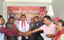 महोत्तरी-१ मा उज्यालो नेपालका उम्मेदवार गुप्ता एमाले प्रवेश