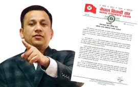 ओली-लेखक पक्राउ पक्षपातपूर्ण निर्णय, जबरजस्ती गर्न खोजे प्रतिवाद : नेविसंघ