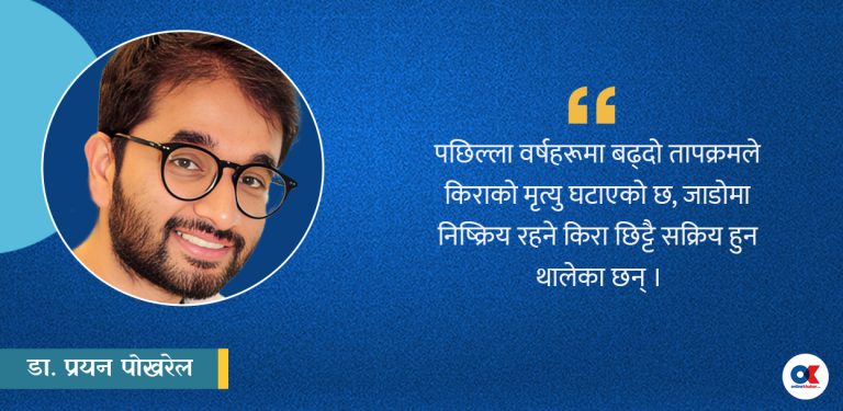 जलवायु परिवर्तनले बढ्न सक्छन् बालीमा क्षति पुर्‍याउने किरा