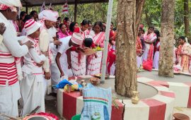 उराँव समुदायले मनाए सरहुल पर्व