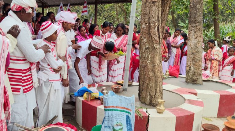 उराँव समुदायले मनाए सरहुल पर्व