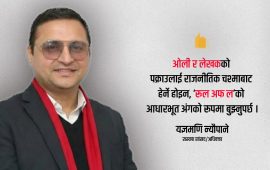 ‘ओली–लेखक पक्राउ कानुनसम्मत छ, राजनीतिक मुद्दा नबनाऔं’