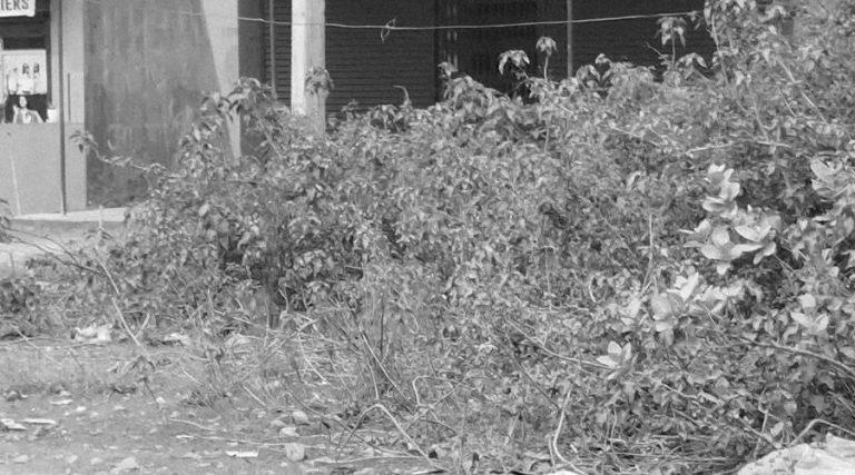 कञ्चनपुरमा जिप र मोटरसाइकल ठोक्किँदा दुई जनाको मृत्यु