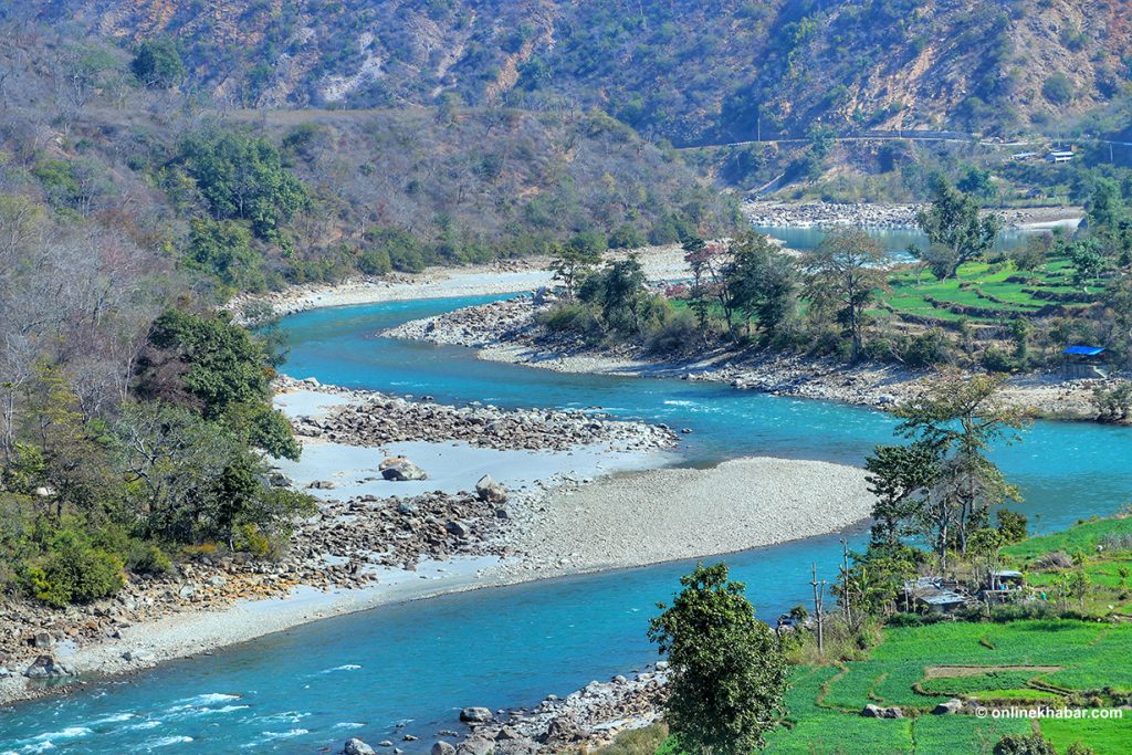 नीलो भेरी, हरियाली जीवन (तस्वीरहरू)