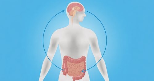 चिन्ता र पेटको स्वास्थ्यबीच के सम्बन्ध छ ?