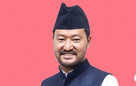 ताप्लेजुङमा एमालेका क्षितिज थेबे विजयी