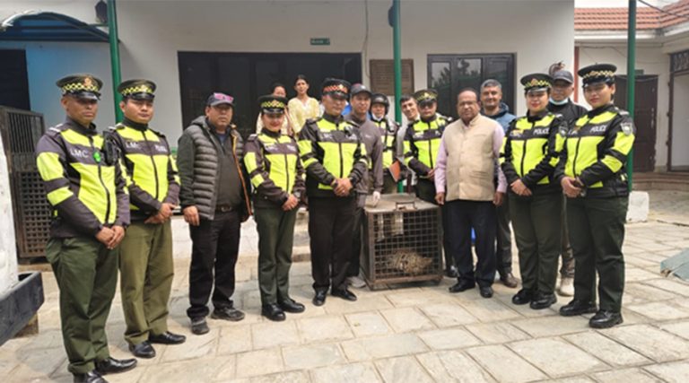 ललितपुरबाट चितुवाको उद्धार   