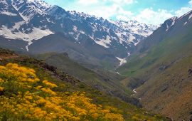 इरानबारे २० तथ्य : सर्वाधिक नाकको शल्यक्रिया, मध्यपूर्वको पहिलो कण्डम कारखाना