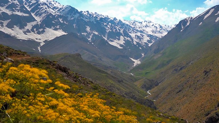 इरानबारे २० तथ्य : सर्वाधिक नाकको शल्यक्रिया, मध्यपूर्वको पहिलो कण्डम कारखाना