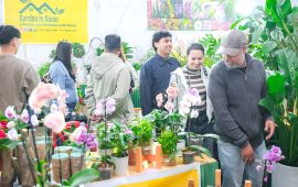 फ्लोरा एक्स्पोले तान्दै दर्शककाे मन (तस्वीरहरू)