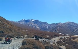 परम्परागत ज्ञान र आधुनिक विज्ञानमार्फत हिमाली चरनभूमि संरक्षण गरिँदै   