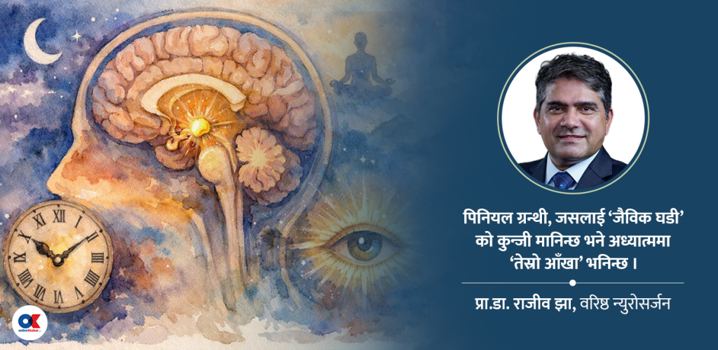 मस्तिष्कको रहस्यमय पिनियल ग्रन्थी, जसले नियन्त्रण गर्छ चेतना