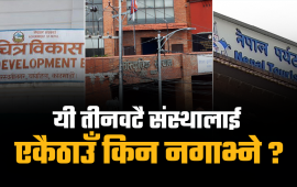 देशको ‘सफ्ट पावर’को काम गर्ने सरकारी निकाय छिन्नभिन्न