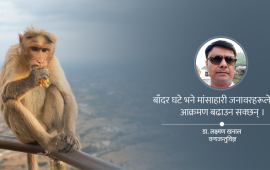 ‘बाँदरहरू पारिस्थितिक प्रणालीको हिस्सा हुन्, मार्ने होइन व्यवस्थापन गर्ने हो’