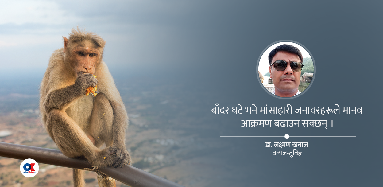 ‘बाँदरहरू पारिस्थितिक प्रणालीको हिस्सा हुन्, मार्ने होइन व्यवस्थापन गर्ने हो’