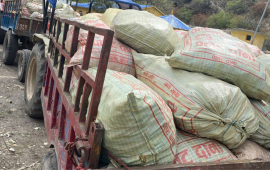 डोल्पामा ३५ क्विन्टल अवैध जडीबुटीसहित ४ जना पक्राउ