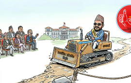 राजनीतिक र संवैधानिक नियुक्तिको बोझ हटाउन कति सहज ?