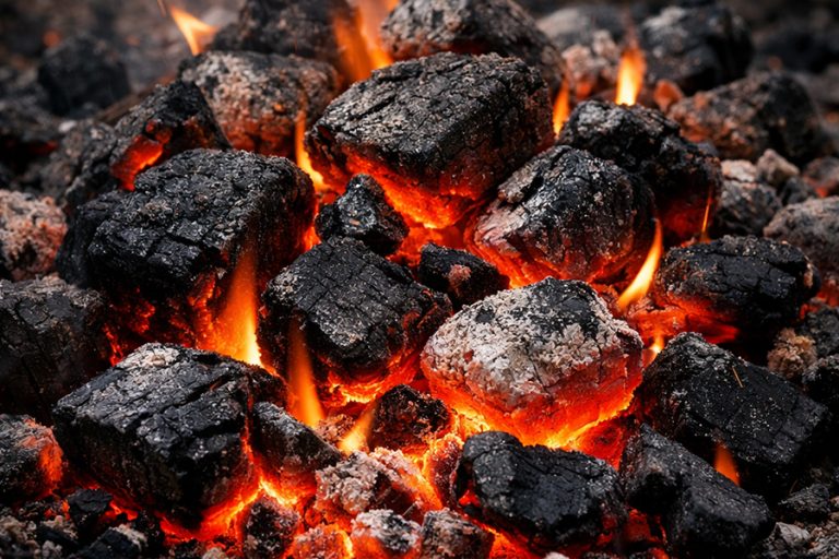 इन्धन अभाव टार्न कोइलाको भर पर्दै एशियाली देशहरू, बढ्दै स्वास्थ्य जोखिम