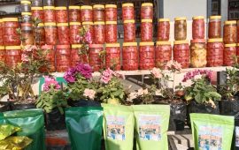 पर्यटकलाई कोसेली अकबरेदेखि छुर्पीसम्म