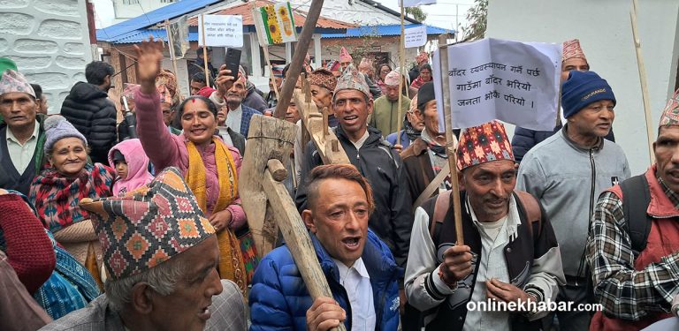 किसानको नारा : गाउँमा बाँदर भरियो, जनता भोकै परियो (तस्वीरहरू)