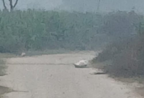 चन्द्रनिगाहपुरमा शंकास्पद वस्तु फेला, सेनाको टोली परिचालन