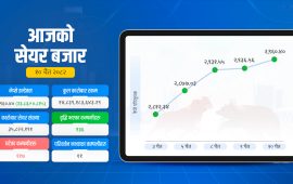 सेयर बजार ८ महिनाकै उच्च अंकमा, १० प्रतिशत बढे ६ कम्पनी