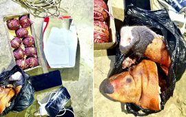 ९ वटा सुतली बम र सुँगुरको टाउकोसहित वीरगञ्जबाट ३ जना पक्राउ