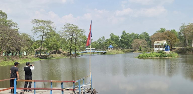 शङ्करबेली सिमसारमा दैनिक हजारौँ पर्यटक