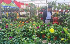 तेस्रो ‘नेसनल हर्टिकल्चर एक्स्पो’ सुरु, फलफूल र जडीबुटीसँगै नीतिगत सुधार बहस