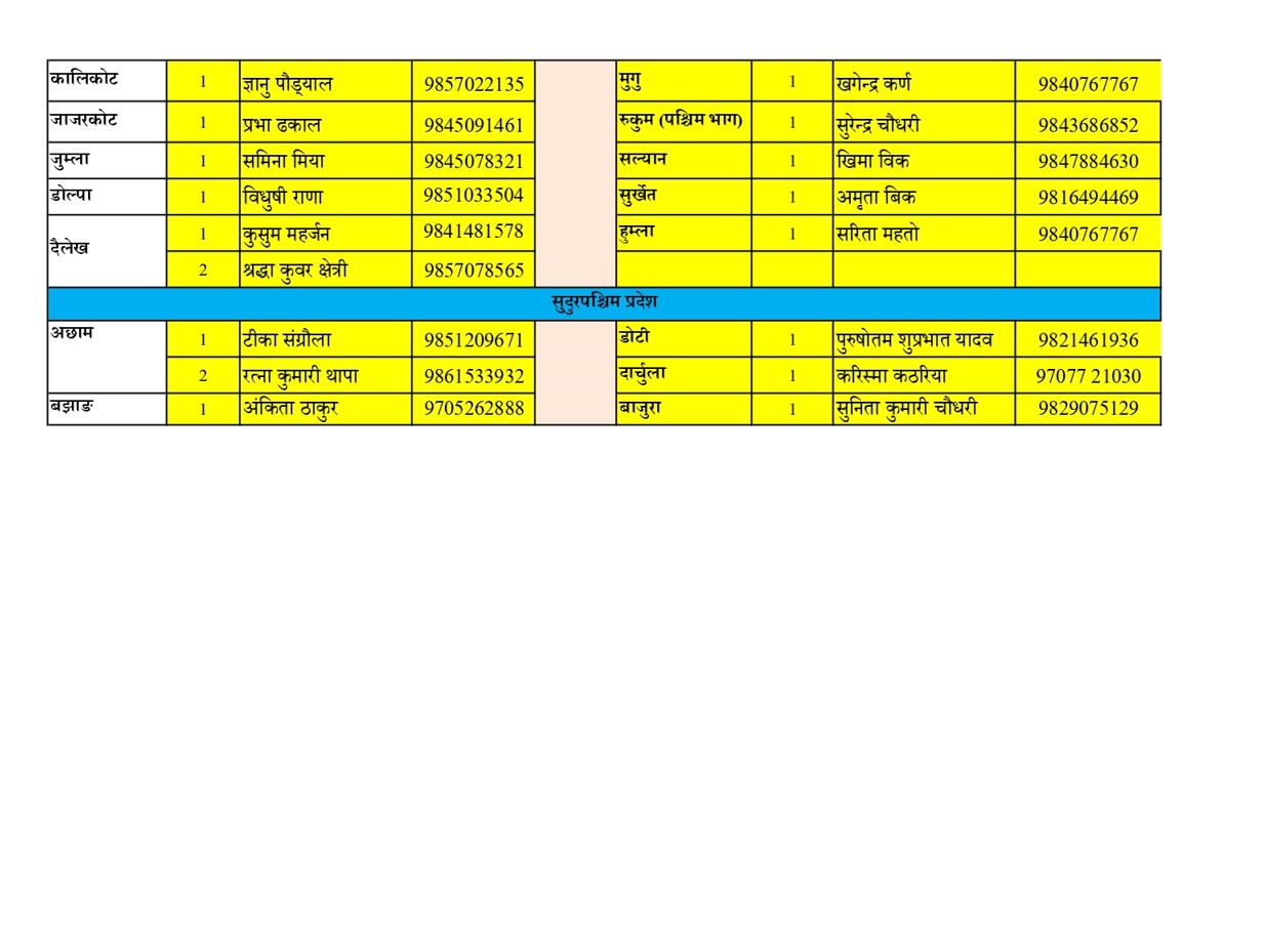 प्रत्यक्षतर्फ चुनाव नजितेको ४० निर्वाचन क्षेत्रका लागि रास्वपाले तोक्यो जिम्मेवारी (सूचीसहित)