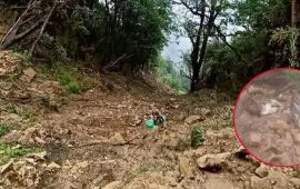 रोल्पा जिप दुर्घटना : गृहमन्त्रालयद्वारा चार सदस्यीय छानबिन समिति गठन