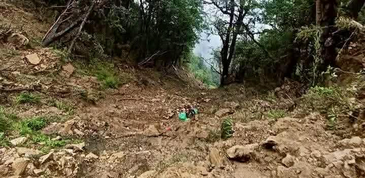 जलजलामा जिप दुर्घटनामा, १७ जनाको मृत्यु