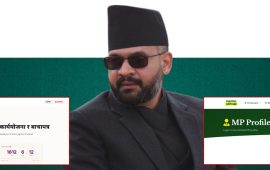 प्रविधिमार्फत सरकारलाई खबरदारी गर्न डिजिटल प्रतिपक्ष