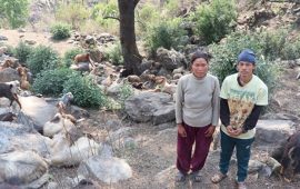 विदेशबाट फर्किएका भीम, घुम्तीगोठले बनाए आत्मनिर्भर