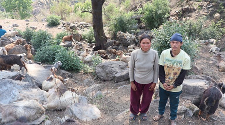 विदेशबाट फर्किएका भीम, घुम्तीगोठले बनाए आत्मनिर्भर